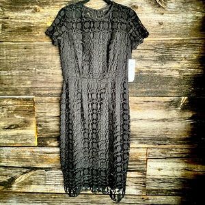 London Times Lace Sheath‎ Dress